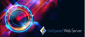 LiteSpeed & LSCache: The Ultimate Guide